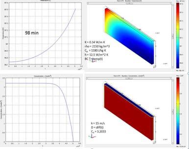 moisture concentration in the material was run using the multiphysics module.