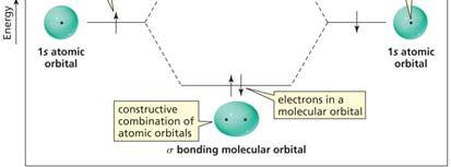 orbitals of opposite phase