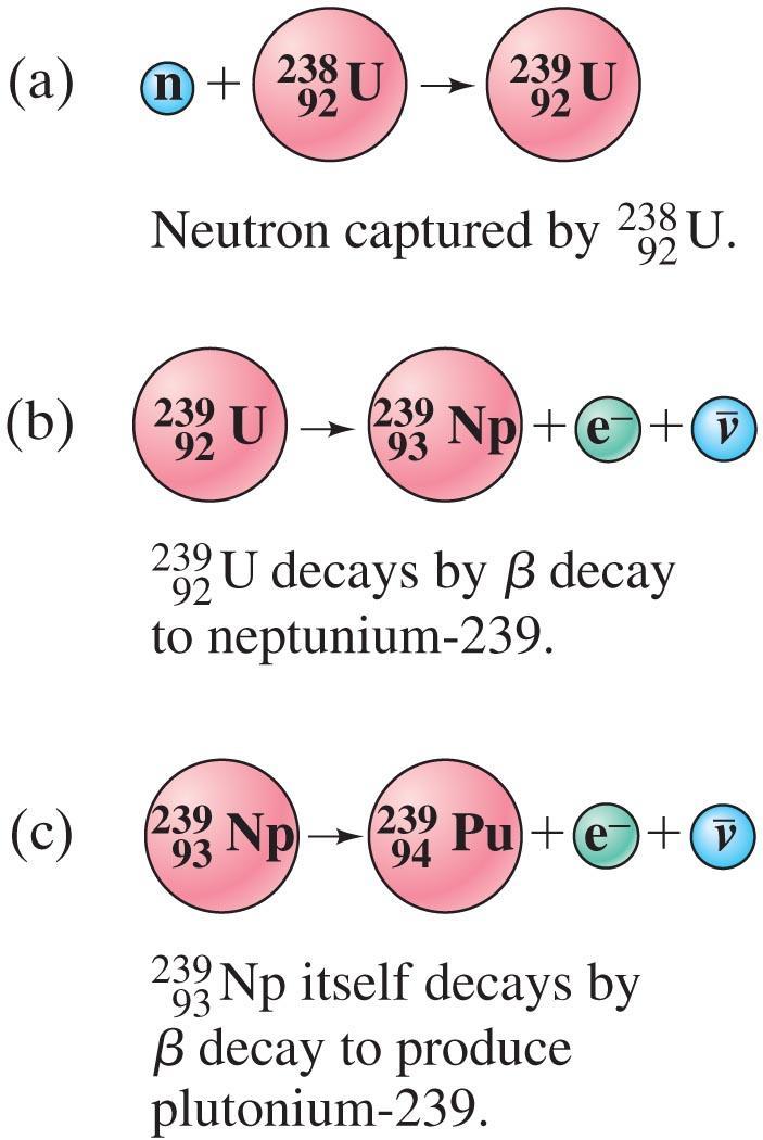 Nuclear Reactions and the Transmutation of Elements Neutrons are very effective in nuclear reactions, as they have no