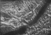 Tectonics on Venus Fractured and contorted surface indicates