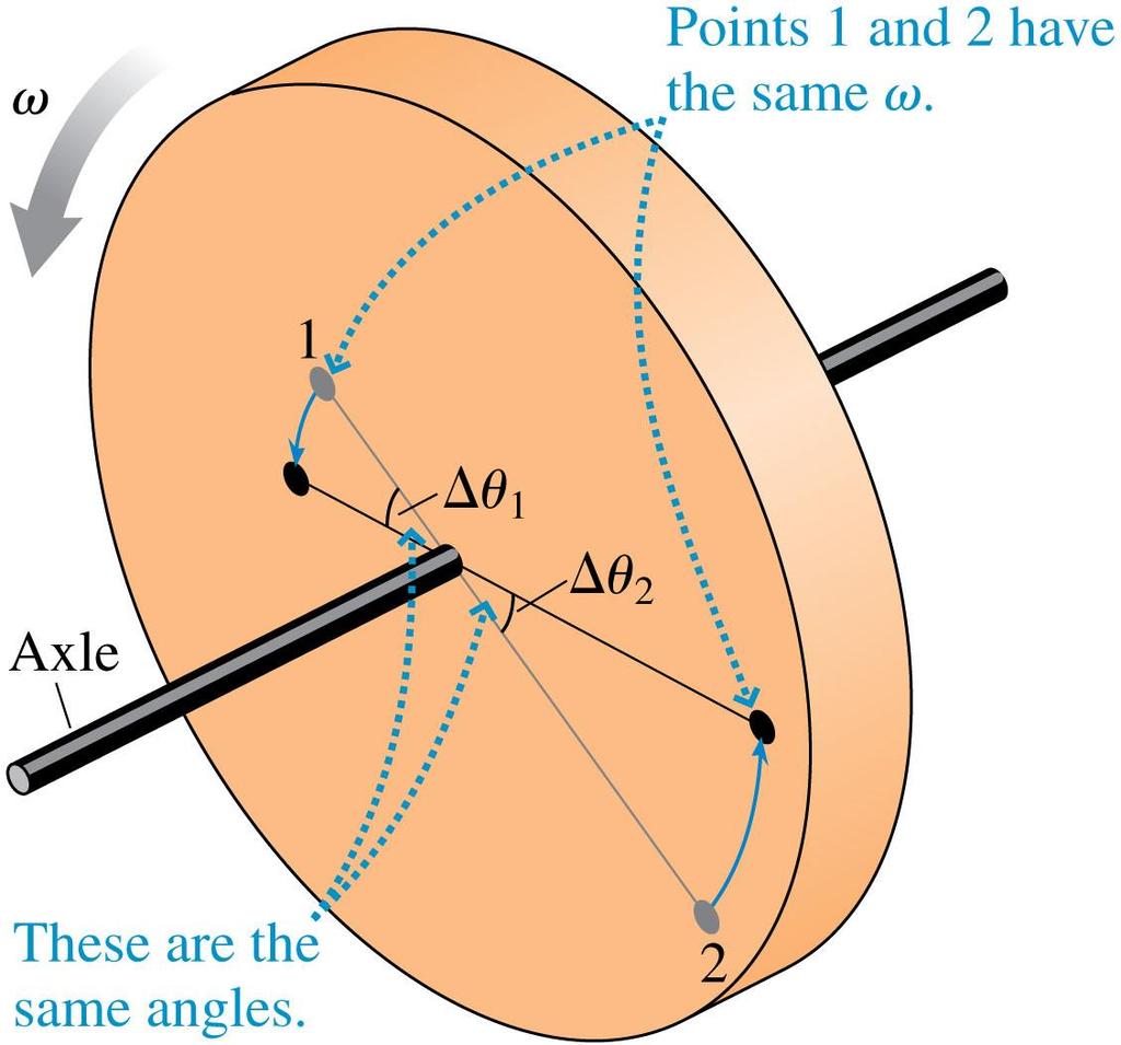 Rotational Motion of a Rigid Body Every point on a rotating body has the same angular velocity.