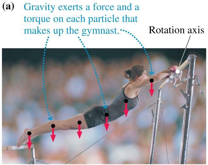 Gravitational Torque and the Center of Gravity Gravity pulls downward on every particle that makes up