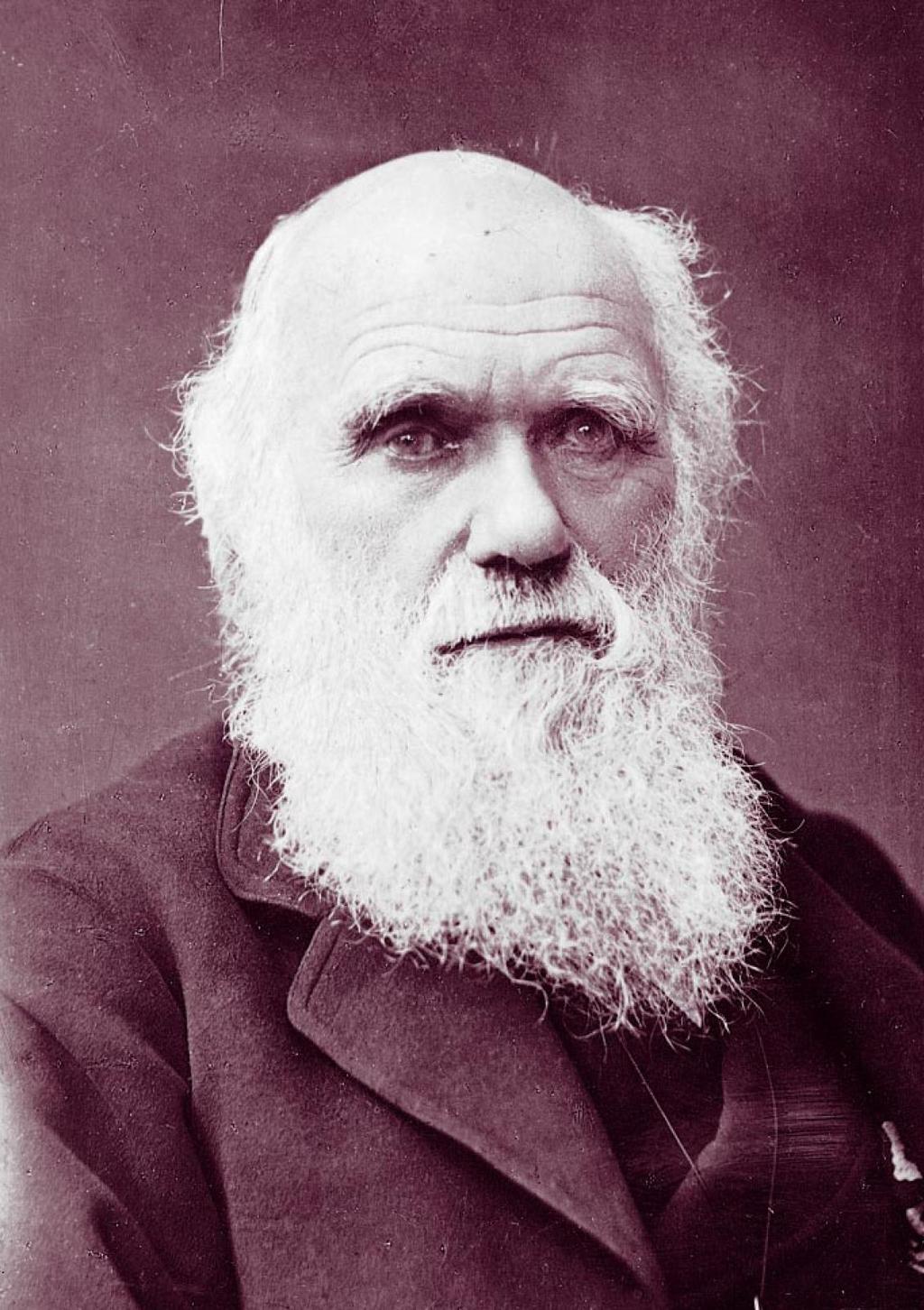 Charles Darwin He was a famous British scientist who founded the Theory of Evolution and is responsible for altering the way people perceive the natural world.