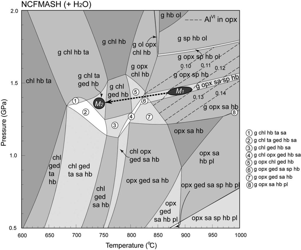 1254 Y. Chen et al. Figure 10. P T pseudosection based on the calculated bulk composition (in mol.%) for polyphase inclusions and the host garnet cores; SiO 2 = 42.20, Al 2 O 3 = 13.43, CaO = 3.