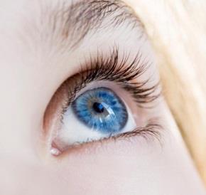 Common and Uncommon Mutations/Variations It is believed that Blue Eyes