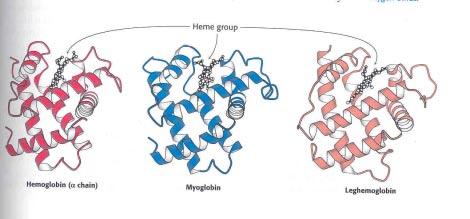 Tertiary structure is more