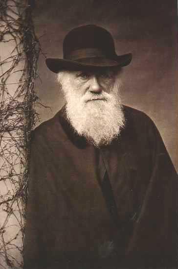 Charles Darwin 1809-1882 Englishman; bound for medicine then the clergy sidetracked by biology 1831-1836 Beagle; visits isolated
