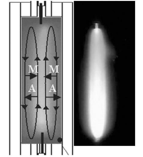 Metal halide lamps 1245 Fig. 6 Axial segregation and color separation in a vertically operating metal halide lamp due to the combined effects of diffusion and convection.