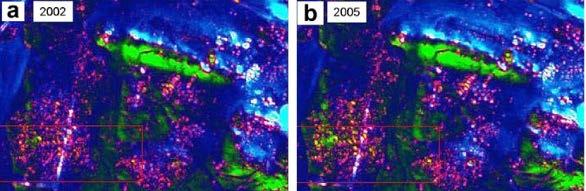 using multi-temporal C- and L-band SAR imagery Objectives Change detection