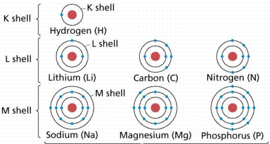 When you look at the Periodic Table, the energy levels of the atoms correspond to the groups (rows) of the table.
