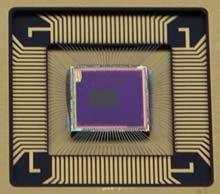 sensor chip contains a layer