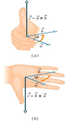 Cross Product q q Direction: C perpendicular to both A and B (right-hand rule) n Place A and B tail to tail n n n Right hand, not left hand Four fingers are pointed along the first vector A sweep