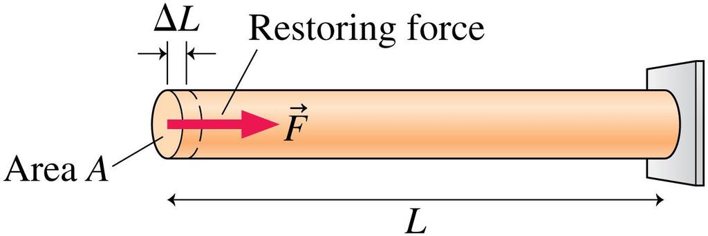 Stretching and Compressing Materials For a rod, the spring constant depends on the cross-sectional area A, the length of the rod, L, and the
