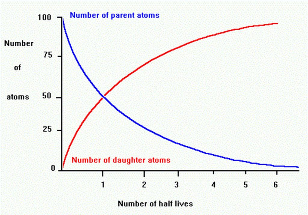 What percent of parent atoms remains after 4 half lives?