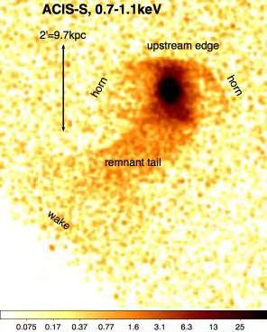 Clusters of Galaxies: Mergers (minor) Gas-stripped Cluster Ellipticals Chandra X-ray image of M89