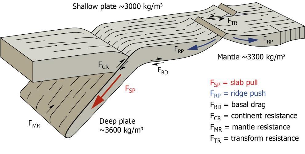Mechanics of Plate Tectonics