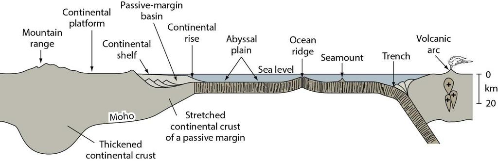 Crustal Section and Characteristic Rock