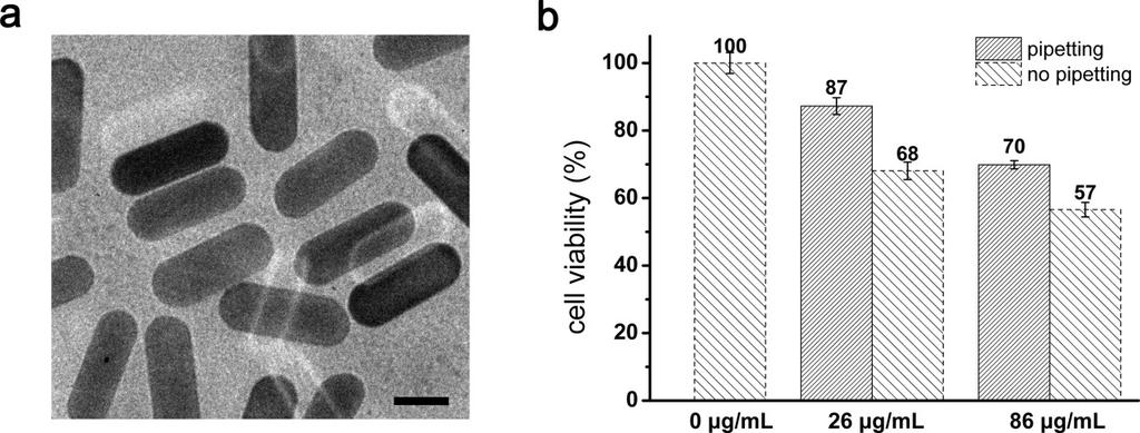 Figure S3. Cytotoxicity of gold nanorods. (a) TEM image of 45 18 nm gold nanorods. Scale bar was 20 nm.