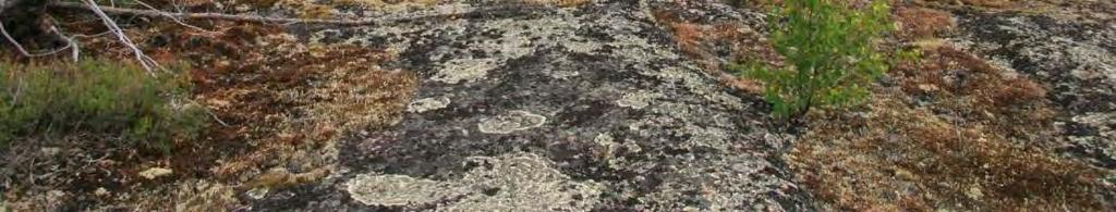 granitic magmatism