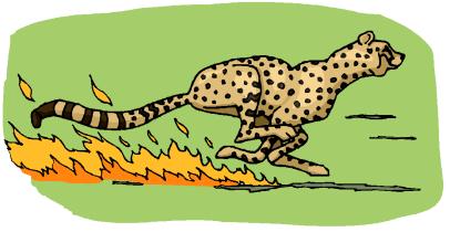 Physics R Date: 1. A cheetah goes from rest to 60 miles per hour (26.8 m/s) in 3 seconds. Calculate the acceleration of the cheetah.
