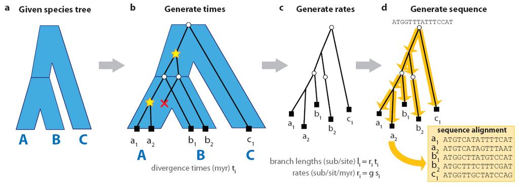 SPIMAP (Species Informed Maximum A Posteriori) Generative model Dup/loss model Rates model
