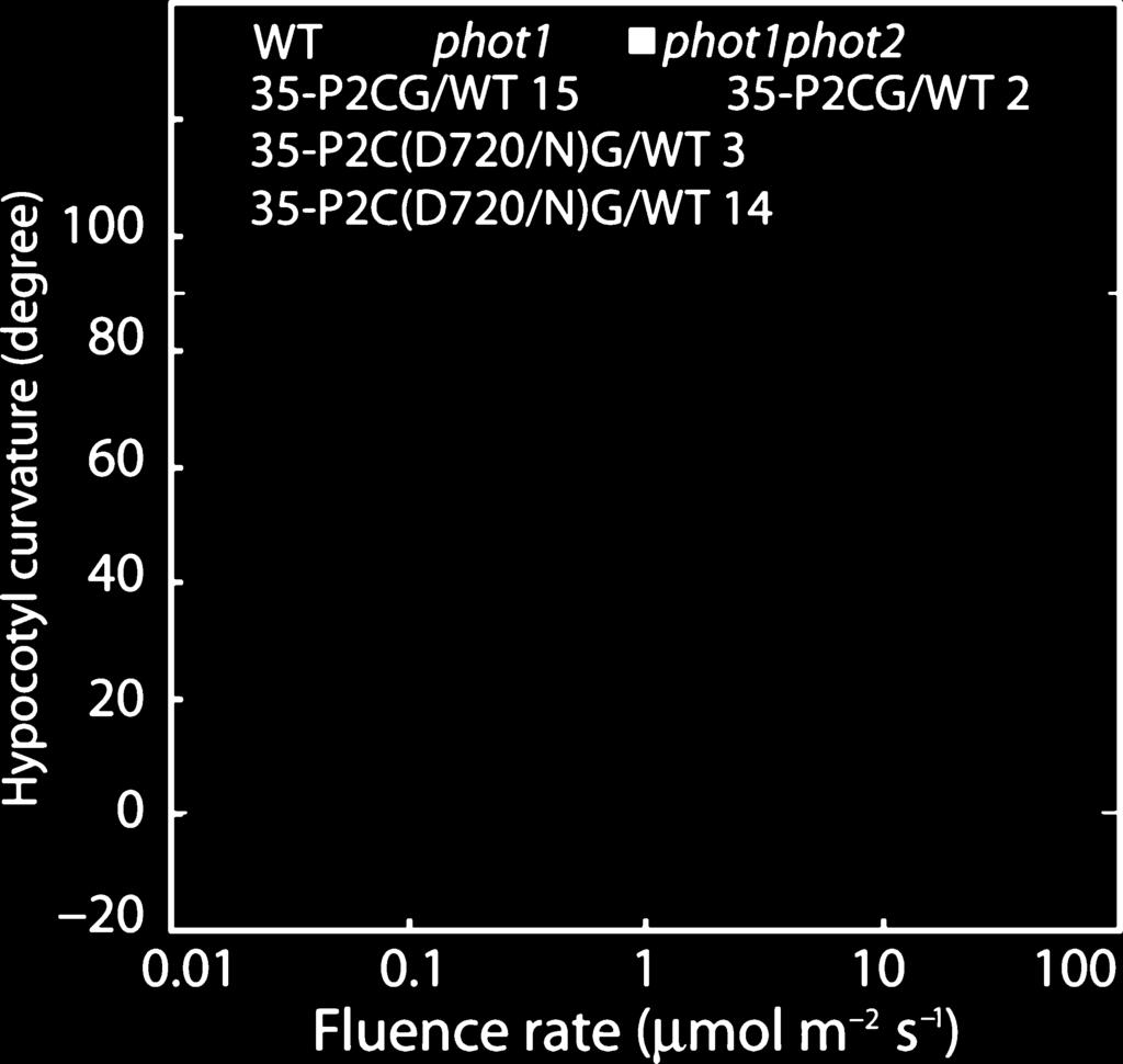 (a) Hypocotyl lengths in etiolated seedlings of wild-type, the phot1 phot2 double mutant, 35-P2CG/WT, 35-P2C(D720/N)G/WT and 35-P2G/p1p2.