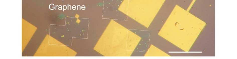 (a) The step-by-step fabrication process for 2D perovskite crystal devices.