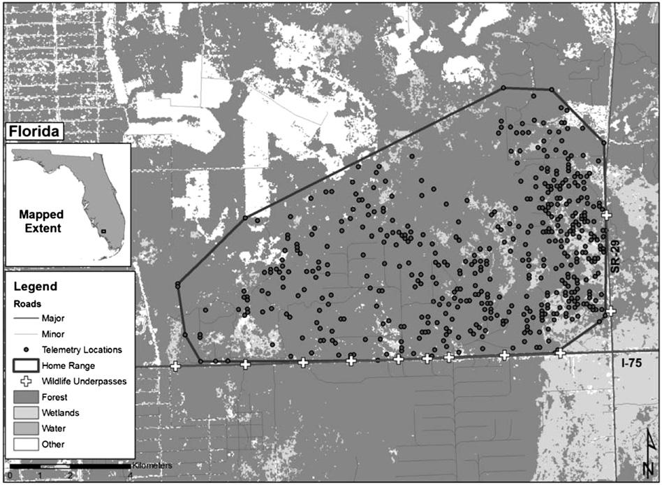 864 A.C. Schwab, P.A. Zandbergen / Applied Geography 31 (2011) 859e870 Fig. 2. Adult lifetime home range and telemetry record for female panther 78.