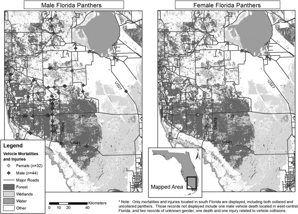 866 A.C. Schwab, P.A. Zandbergen / Applied Geography 31 (2011) 859e870 Fig. 5. Florida panther vehicle-related mortalities and injuries by gender (1972e2004).