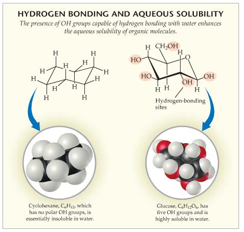 Factors Affec,ng Solubility STRUCTURAL EFFECTS: Polar (hydrophilic) dissolve in polar more sites of hydrogen bonding = more soluble (ex: water soluble
