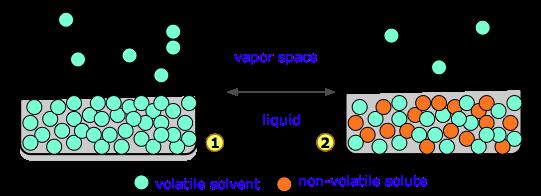 solute LOWERS the VP of a solvent Volatile (has a VP) / Nonvolatile (no