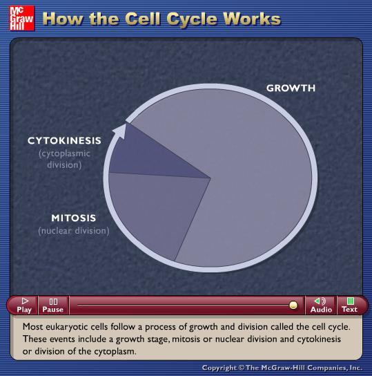 Animation: How the Cell Cycle Works Please note that due to differing operating systems, some animations will not appear until the presentation is viewed in Presentation Mode (Slide Show view).
