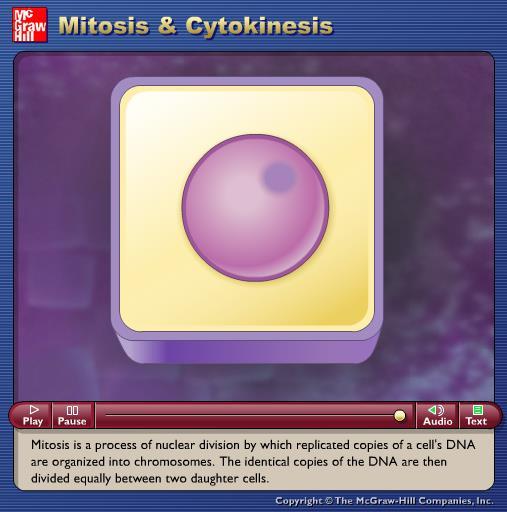 Animation: Mitosis and Cytokinesis Please note that due to differing operating systems, some animations will not appear until the presentation is viewed in Presentation Mode (Slide Show view).