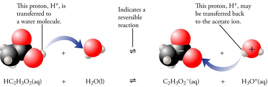 Weak Acid and Water Acetic acid reacts with water in a