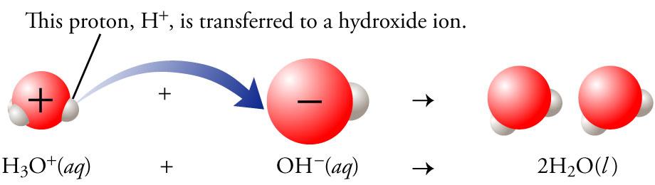 Strong Acid and Strong Base Reaction The hydronium ion, H 3 O +, from the strong