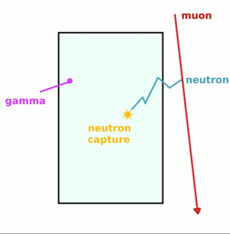 Accidentals Accidental coincidences Example: Gamma enters the detector Cosmic muon