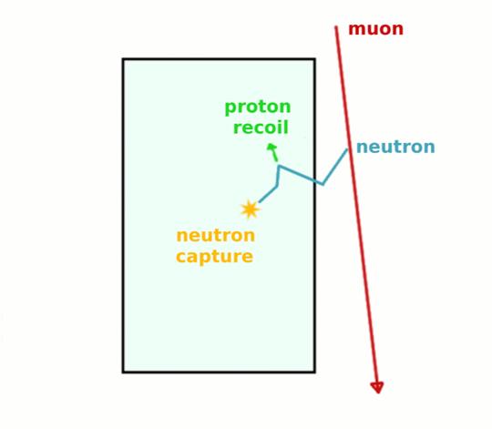 Fast Neutrons Fast neutron: high energy neutron Cosmic µ hits a nearby nucleus and ejects spallation neutron