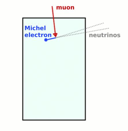 Stopping Muons Cosmic muon enters the detector from above Prompt signal from muon track (ionization from scintillator): muons produce scintillation light that is in the positron energy range