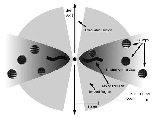 Faraday Rotation Faraday rotation can be used to constrain the quantities of thermal gas located close to the core, which may have implications for unified schemes (see the cartoon in Fig 9).