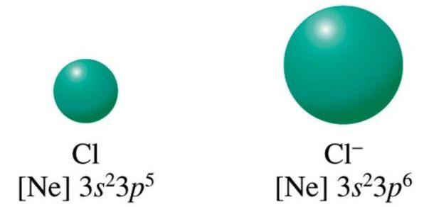 S 2- has a larger radius than S. The anion has more electrons than the atom. The electron-electron repulsion is greater; hence, the valence orbitals expand.
