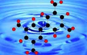Important properties of water Excellent solvent -Transport of nutrients and waste products -