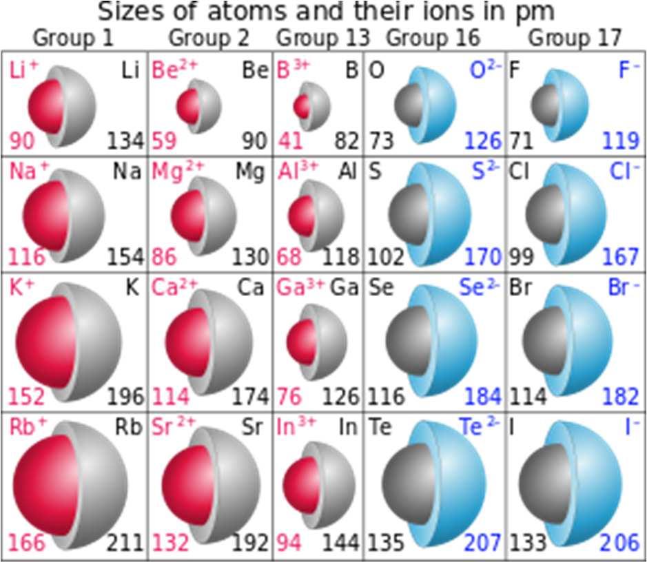 d) decreases as you move from top to bottom (down a family) i) Increased number of electrons cause electrons to repel each other thus producing more shells around the nucleus, these shells which are