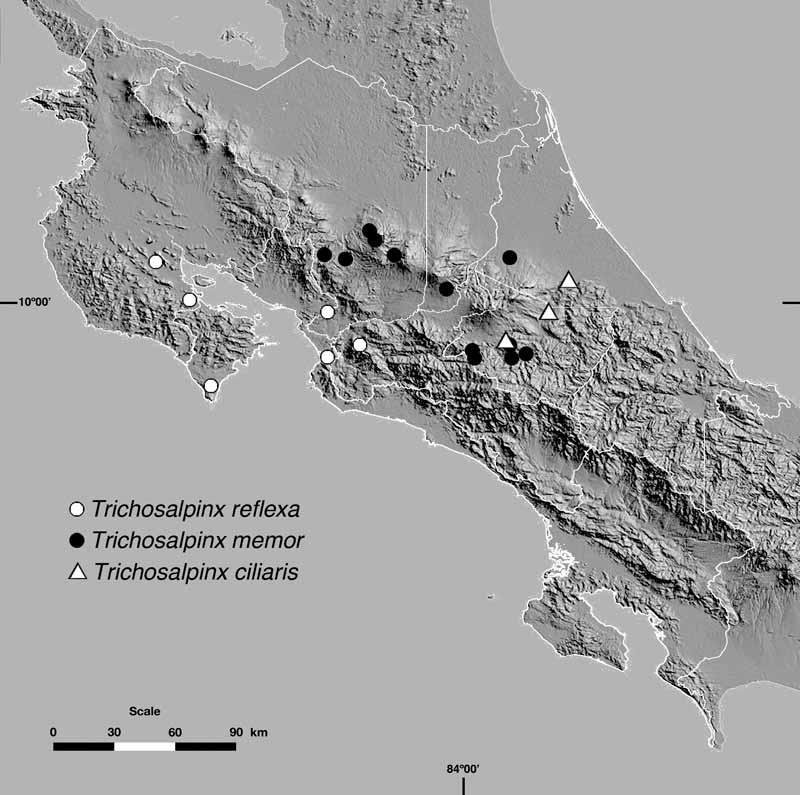FIGURE 3. Distribution map of Trichosalpinx reflexa (white circles), T. memor (black circles) and T. ciliaris (triangles) in Costa Rica.