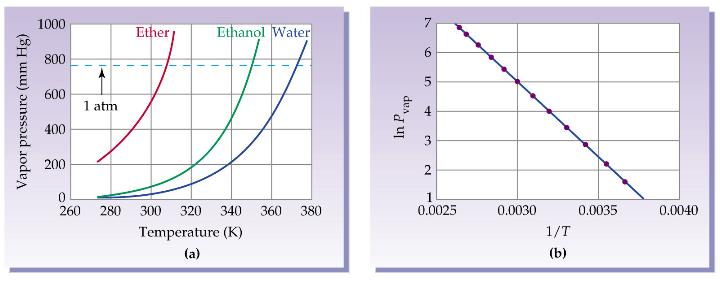 Vapor Pressure and Temperature (a) The vapor pressures of water, ethanol, and diethyl ether show a nonlinear rise when plotted as a function of temperature.