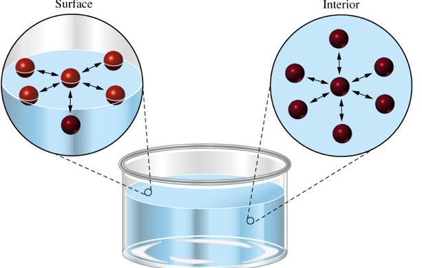 Intermolecular forces are weaker forces than covalent or