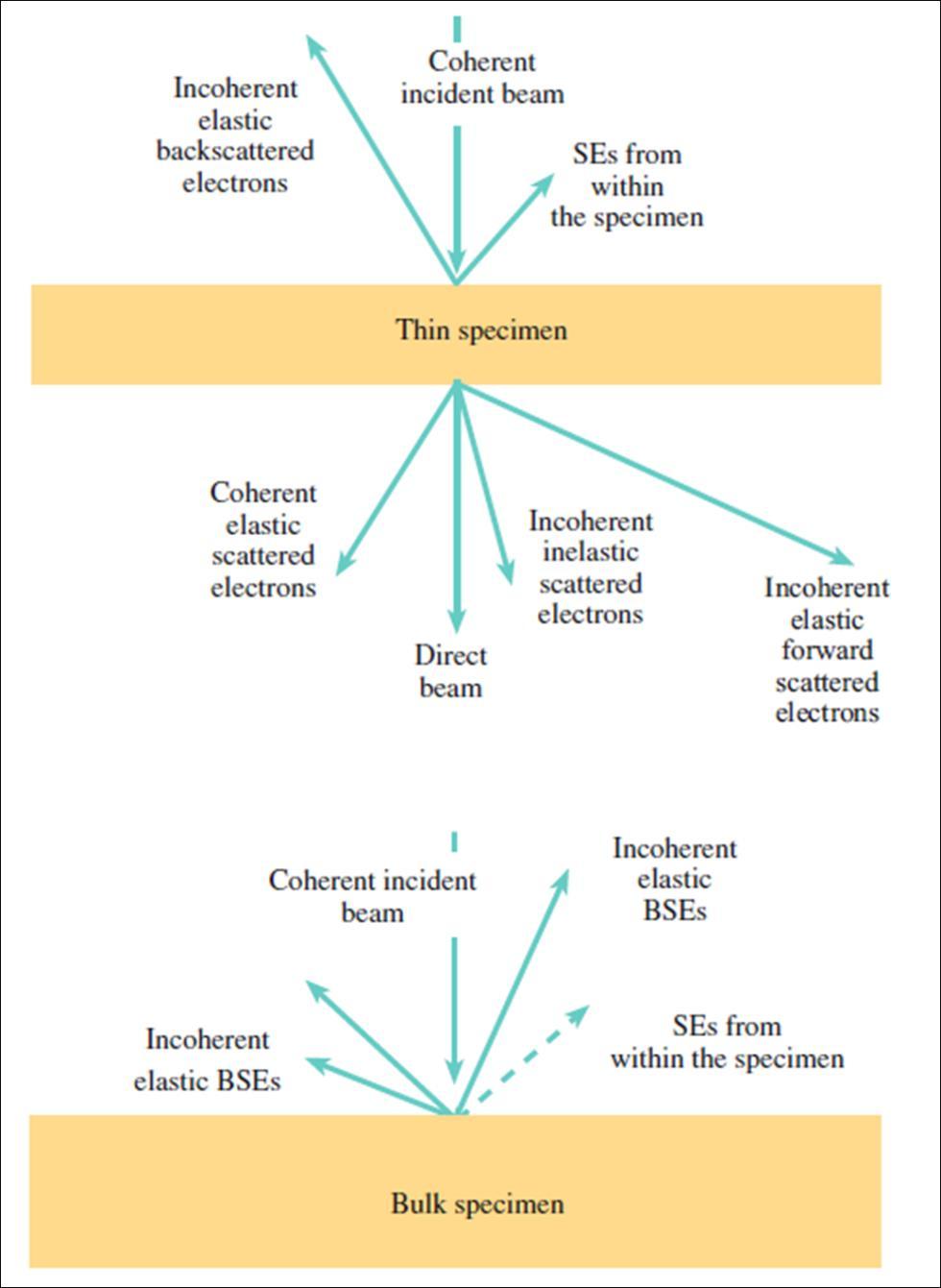 Different kinds of electron scattering from a thin specimen and a bulk specimen TEM SEM Elastic/inelastic -> energy