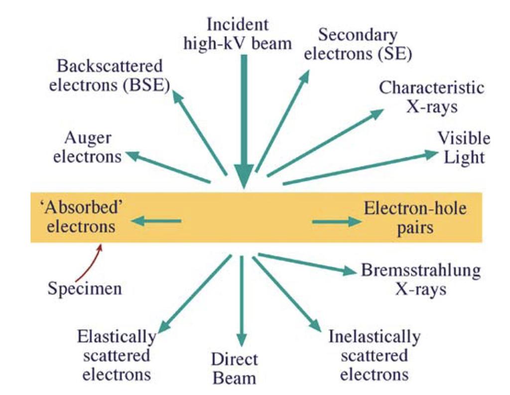 Interaction of Electrons