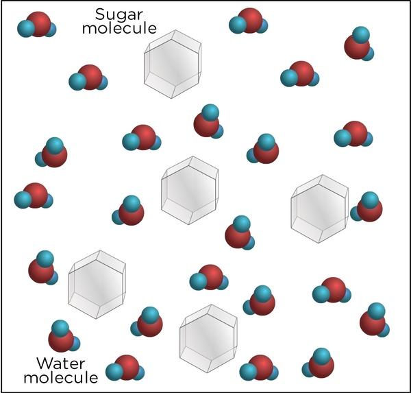 DISSOLVING MOLECULES Molecules get