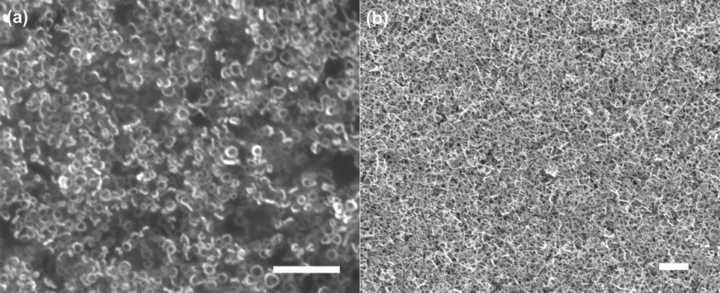 Fig. S7 SEM images of SERS substrates made with (a) thick circular and (b) thick triangular Au NRs. Scale bars are 200 nm. Reference: 1 A.