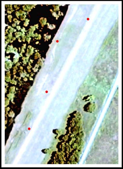 the SAR imagery from the levee area, the classification results and test
